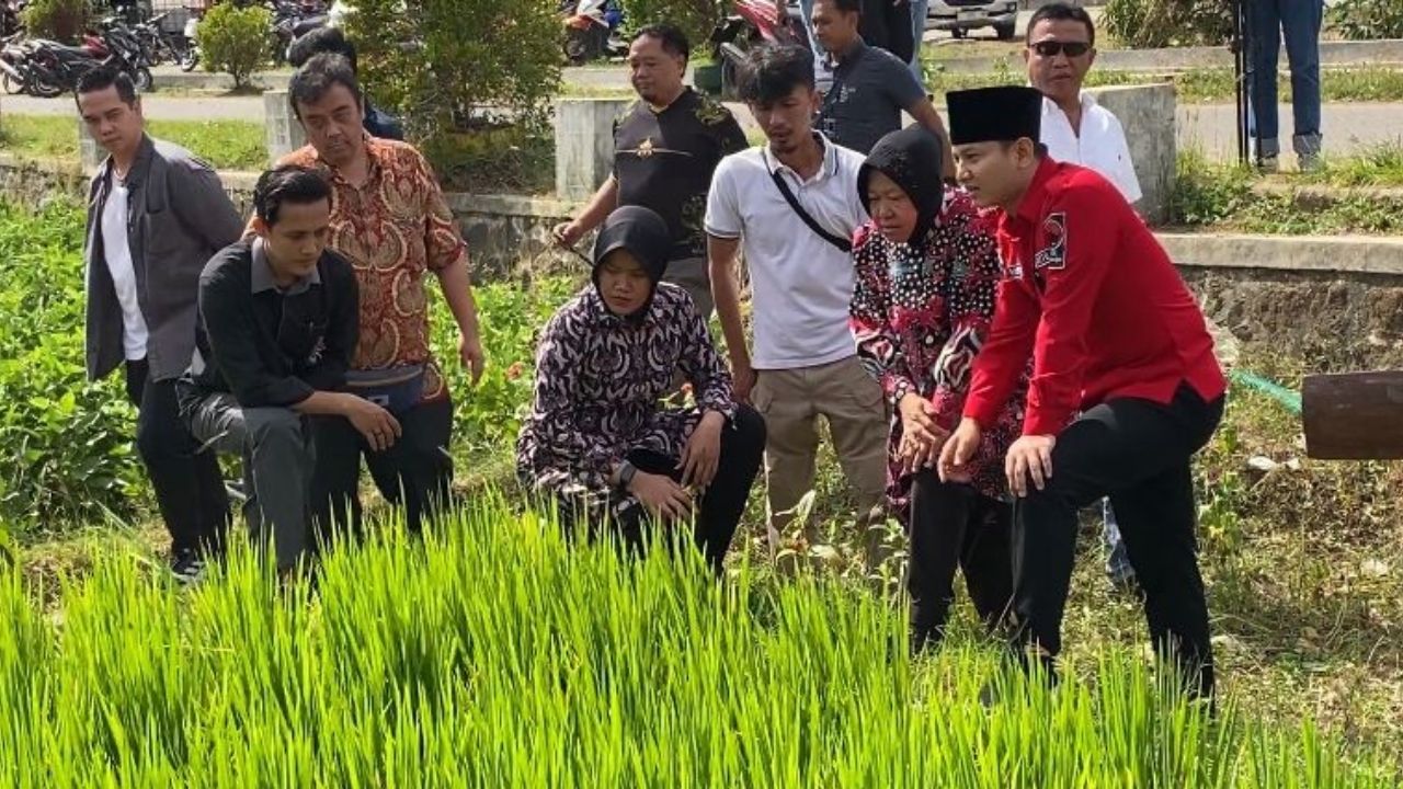 Janji Risma: Inovasi Pertanian dari Trenggalek Direplikasi di Seluruh Jawa Timur